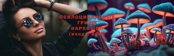 apvp Магас