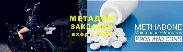 гидра Михайловка