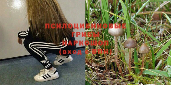 гидра Михайловка